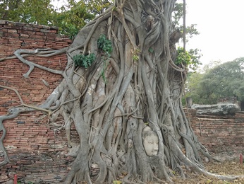 อุทยานประวัติศาสตร์อยุธยา