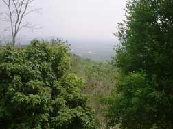 pic02