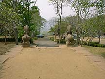 pic11